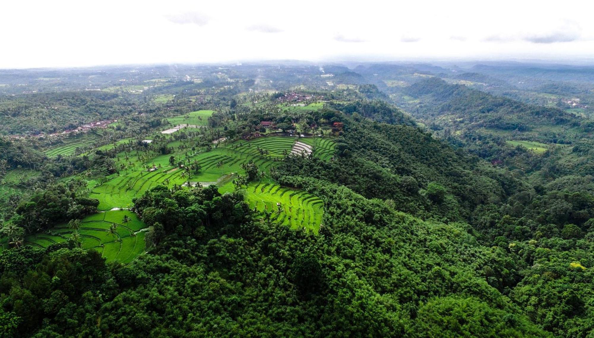 Ijen Resort And Villas - The Hidden Paradise Banyuwangi  Exterior foto
