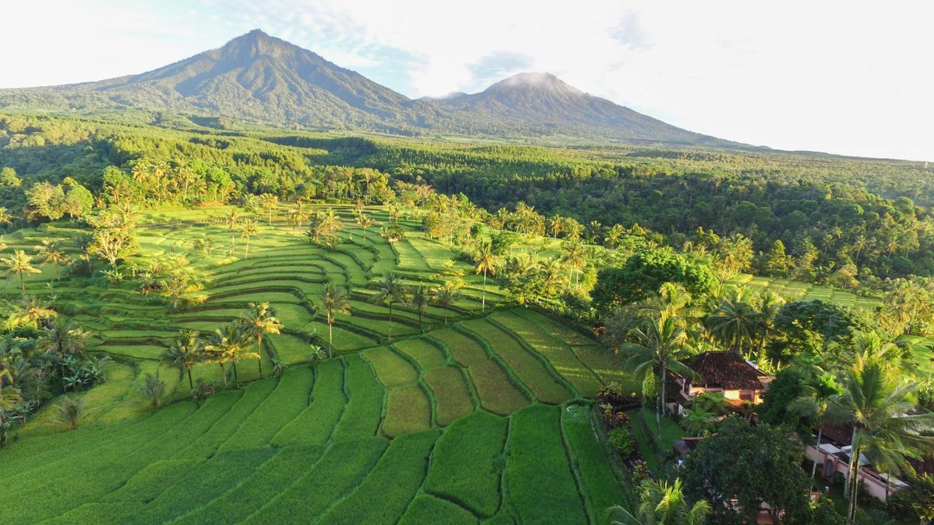 Ijen Resort And Villas - The Hidden Paradise Banyuwangi  Exterior foto